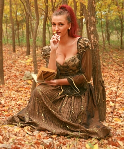 Leaves yellow forest
