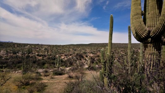 Catalina State Park