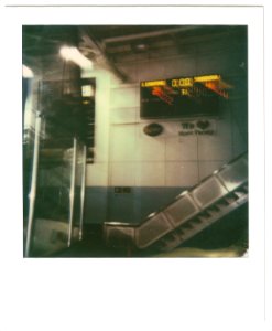 Polaroid - Guildford Lightning Vs Sheffield Shadows