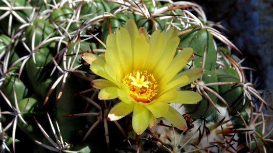 2019.09.30 Sonora Desert Museum