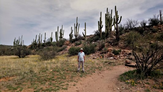 Catalina State Park