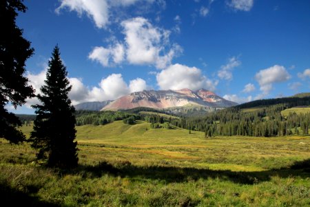 DUNTON MEADOWS -11, near lizard head, dolores co, co - (8-24 25-12) -08a