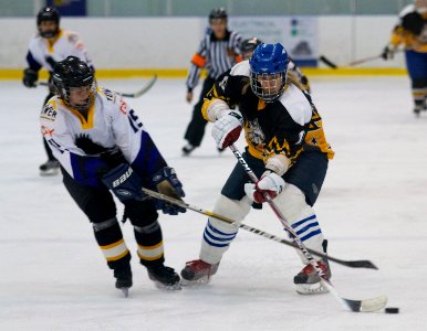 Milton Keynes Falcons Vs Chelmsford Cobras