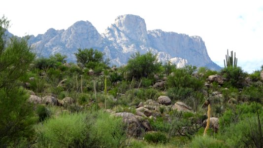 Catalina State Park