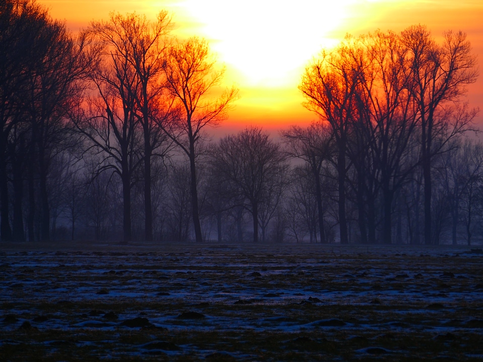Backlighting hazy winter
