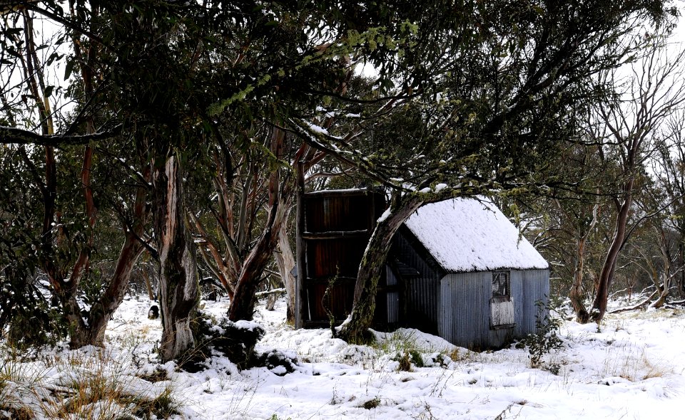 Dinner Plain Hut - Vic High Country