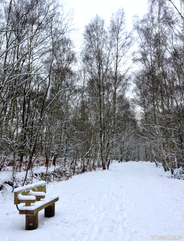 Southwood Winter Walk
