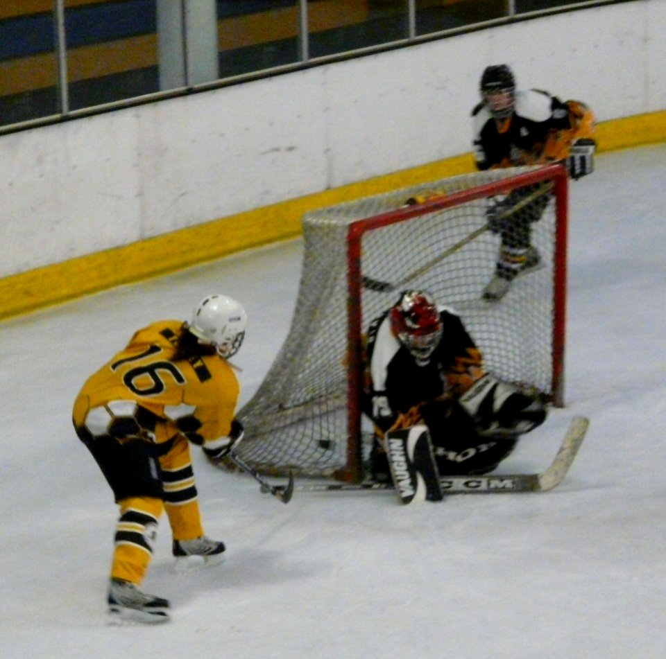 Firebees Vs Chelmsford