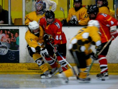 Firebees Vs Basingstoke Bison Ladies