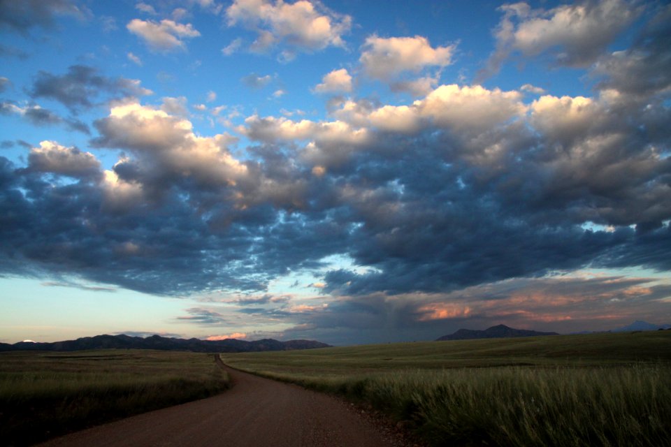 SAN RAFAEL VALLEY GRASSLANDS, SE of Patagonia, scc, az (10-1-11) -01