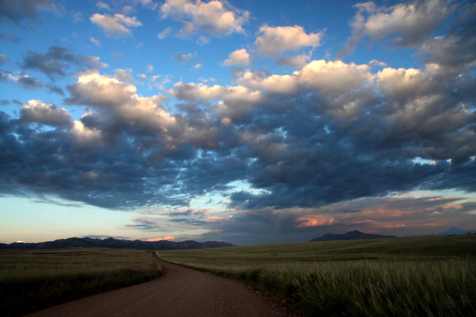 SAN RAFAEL VALLEY GRASSLANDS, SE of Patagonia, scc, az (10-1-11) -01 photo