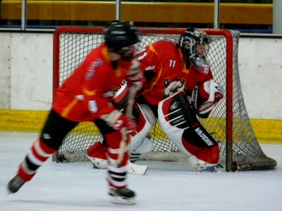 Firebees Vs Basingstoke Bison Ladies