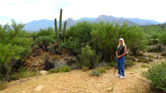 Catalina State Park