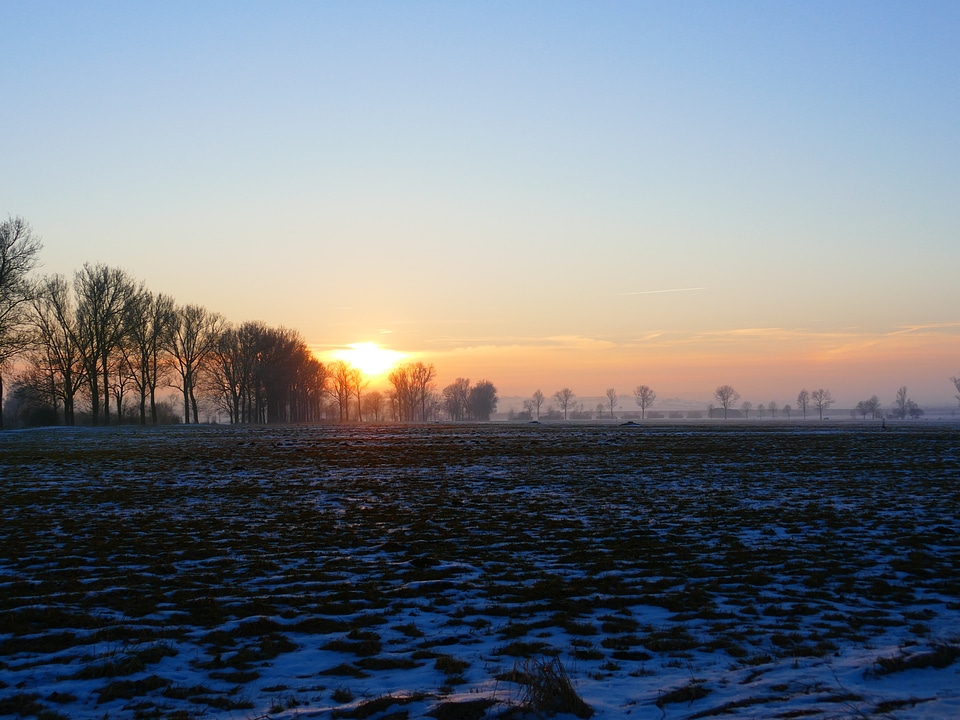 Backlighting hazy winter