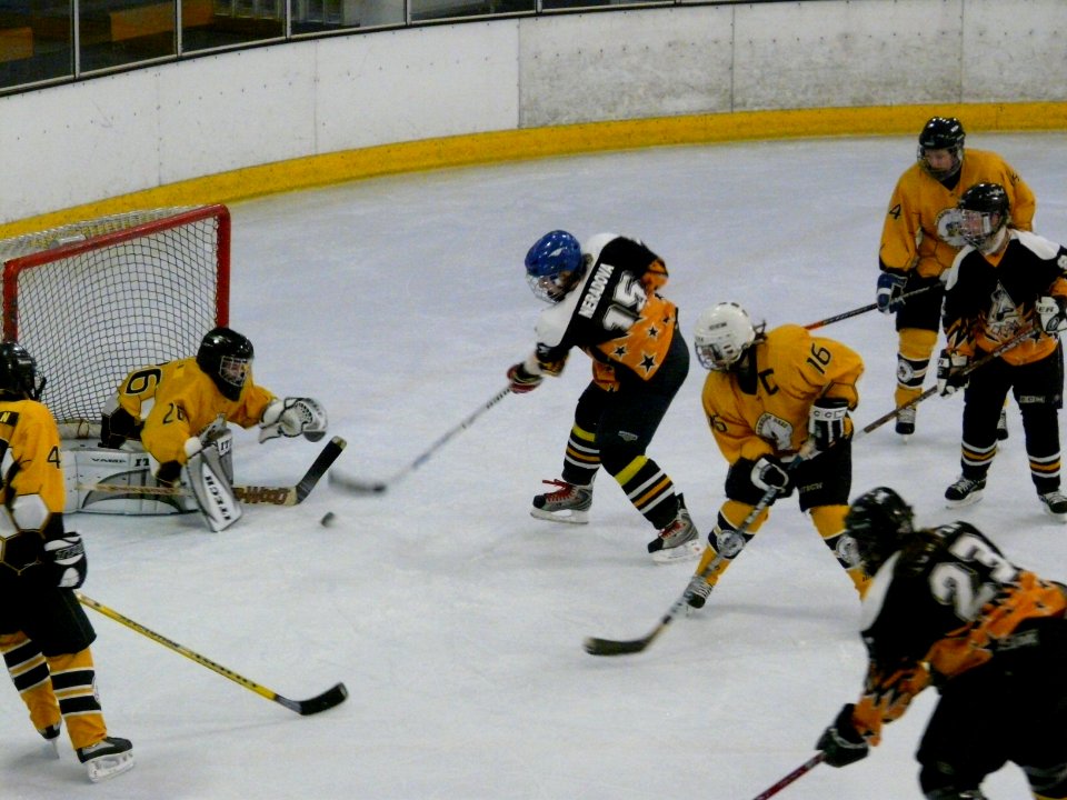 Firebees Vs Chelmsford
