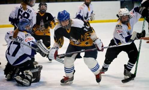 Milton Keynes Falcons Vs Chelmsford Cobras