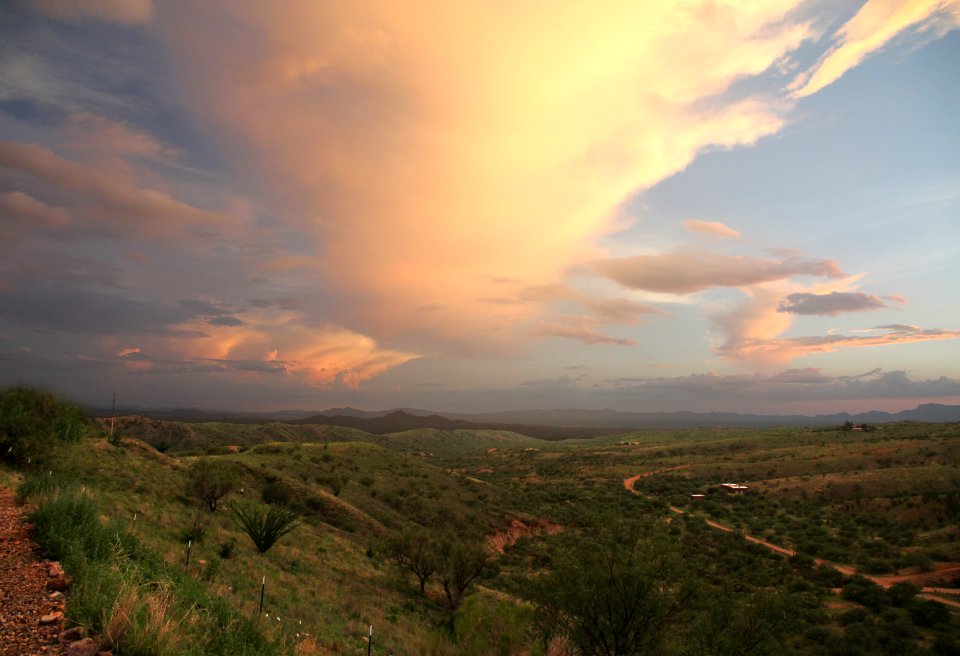 VIEW FROM THE HOUSE - 0181 (7-16-12) -06