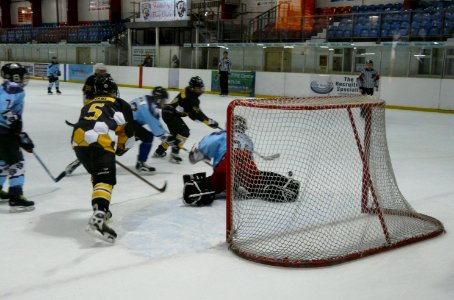 Firebees At Basingstoke Bears