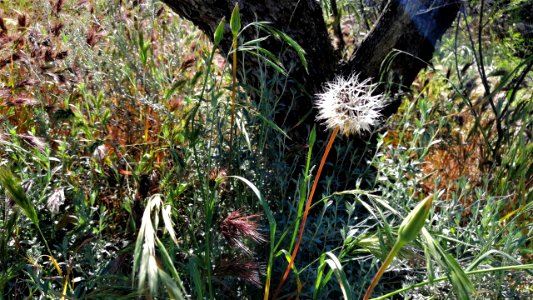 2019.04.07 Catalina State Park