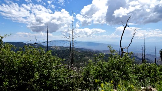 2019 09 02 Mt Lemmon (16)