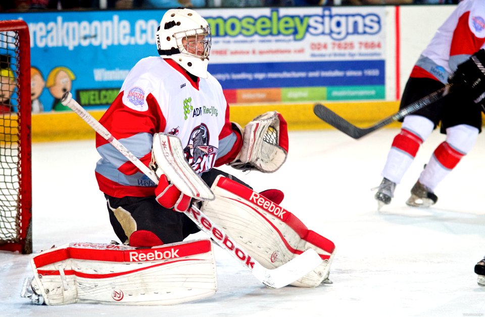 Best of 2013/14 Season: EPL and NIHL