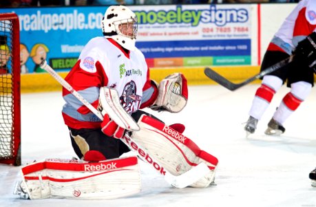 Best of 2013/14 Season: EPL and NIHL