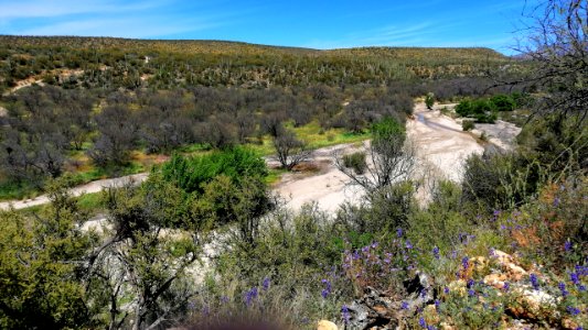 2019.04.07 Catalina State Park