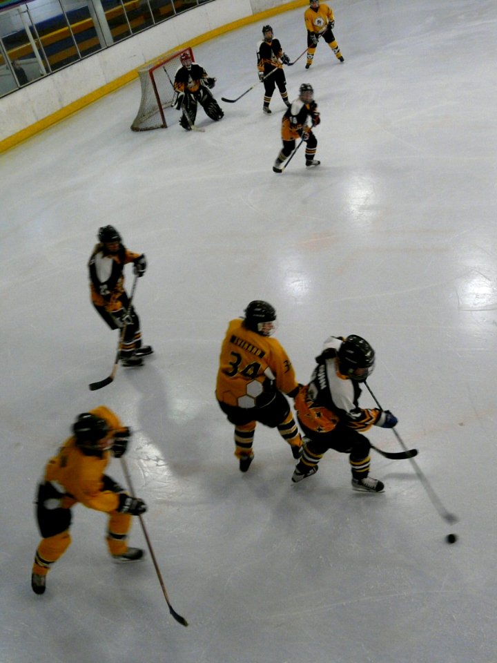 Firebees Vs Chelmsford