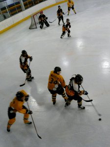 Firebees Vs Chelmsford