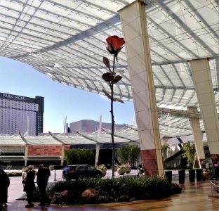2019.10.11 Las Vegas