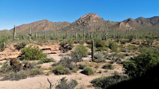 2019.0930 Saguaro National Park West