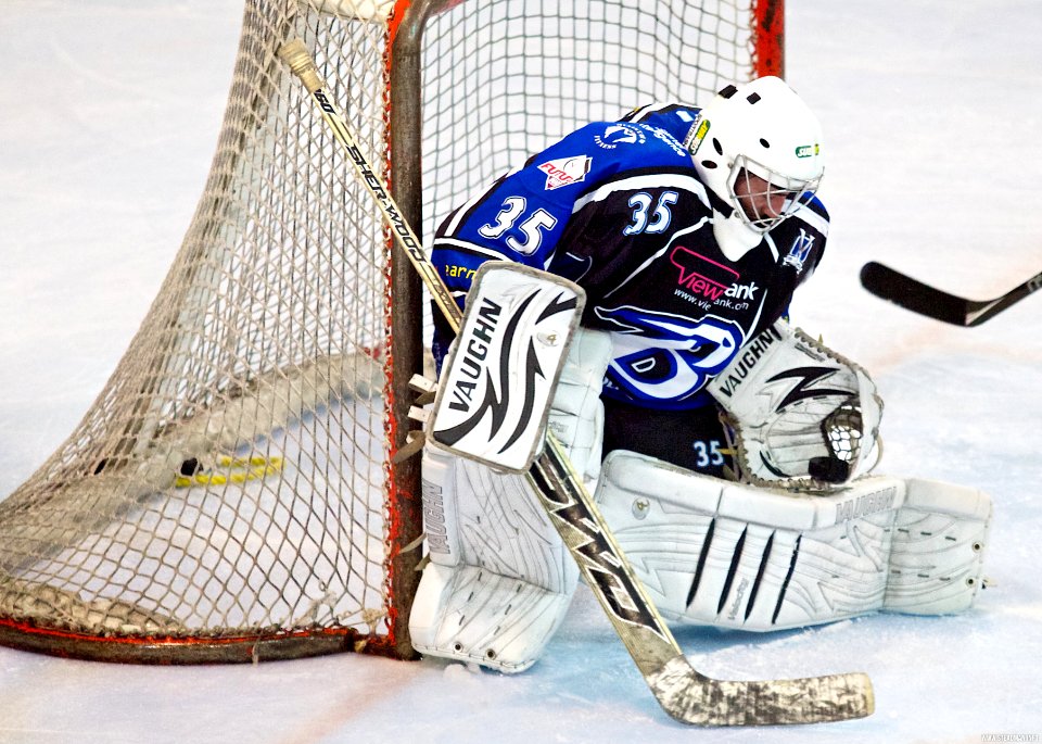 Best of 2013/14 Season: EPL and NIHL