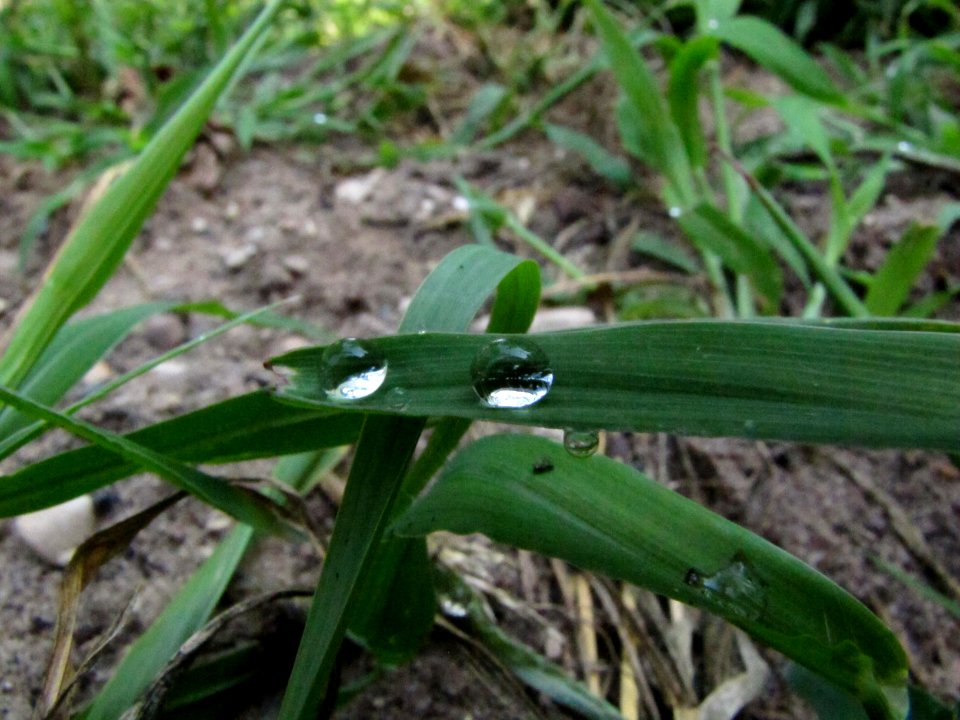 Rain Droplets 040 1 original
