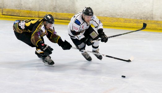 Bracknell Bees vs Milton Keynes Lightning