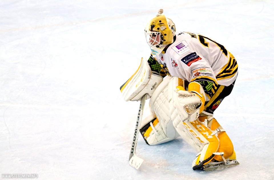 Bracknell Bees Vs Basingstoke Bison