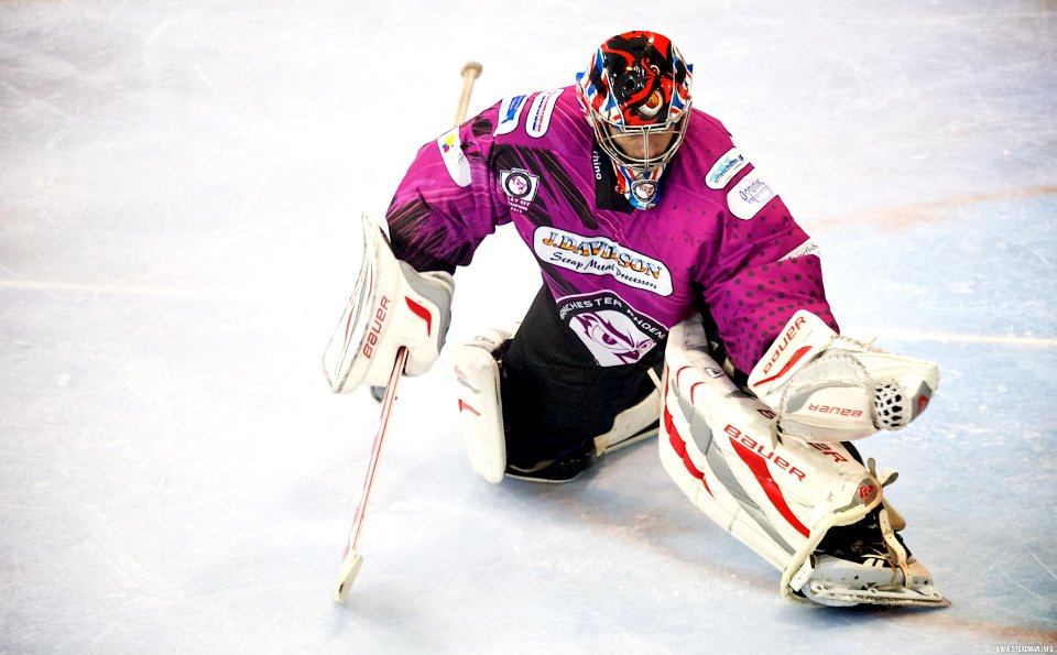 Best of 2013/14 Season: EPL and NIHL