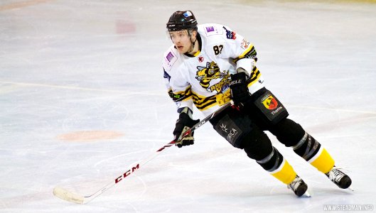 Bracknell Bees Vs Basingstoke Bison