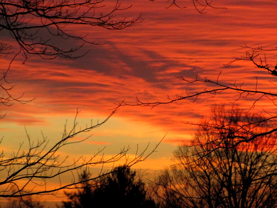 Sunset 145
