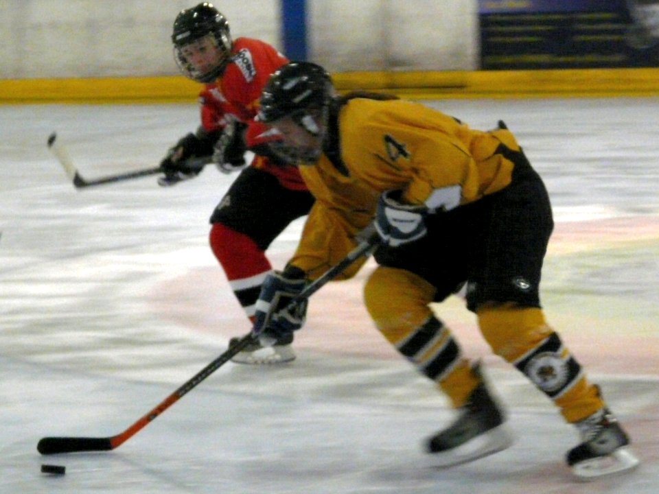 Firebees Vs Basingstoke Bison Ladies