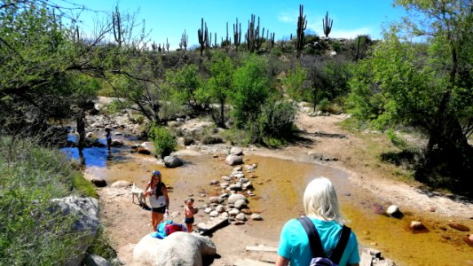 2019.04.07 Catalina State Park