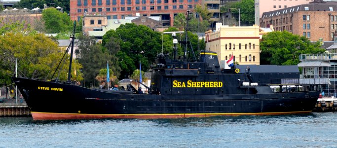 Steve Irwin - Circular Quay, Sydney NSW photo