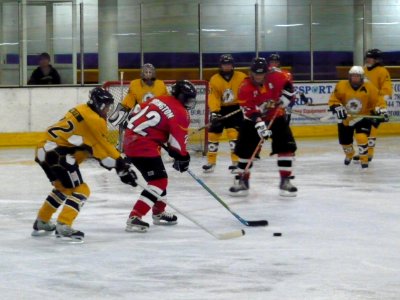 Firebees Vs Basingstoke Bison Ladies
