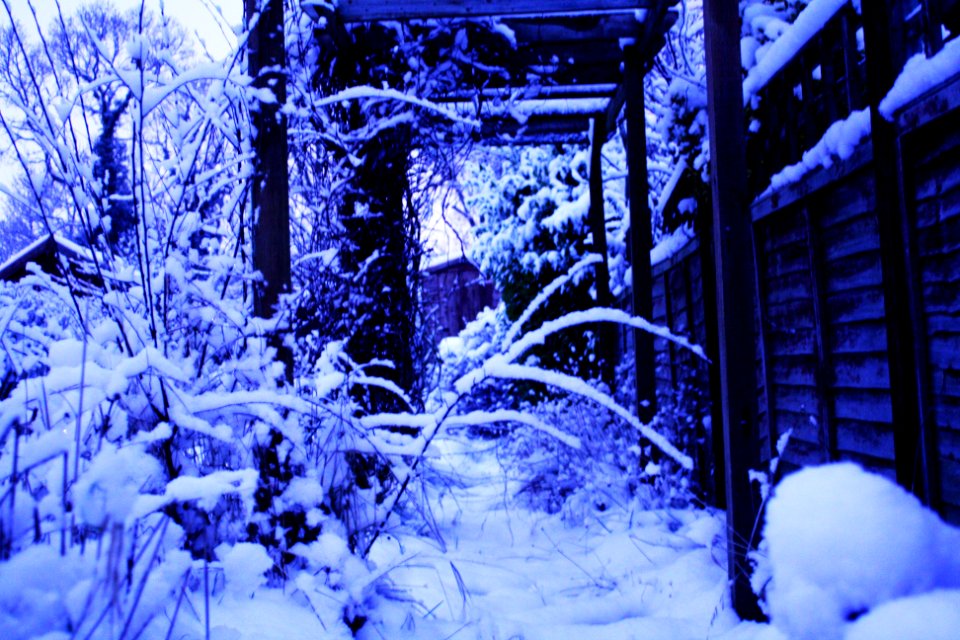 Winter Wonderland.