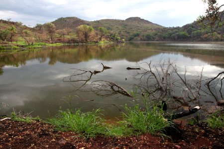 PENA BLANCA LAKE after fire (8-6-11) west of nogales, scc, az -12