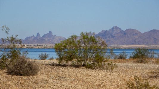 Lake Havasu Island