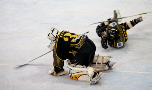 Bracknell Bees vs Milton Keynes Lightning