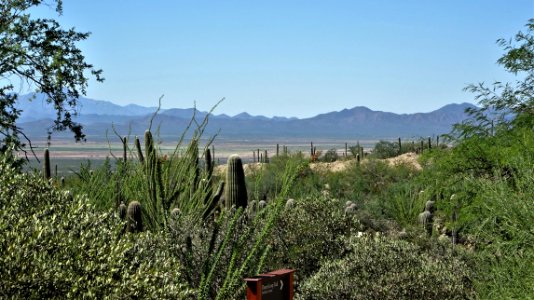 2019.09.30 Sonora Desert Museum