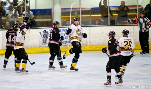 Bracknell Bees Vs Basingstoke Bison