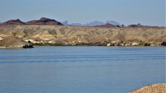 Lake Havasu Island