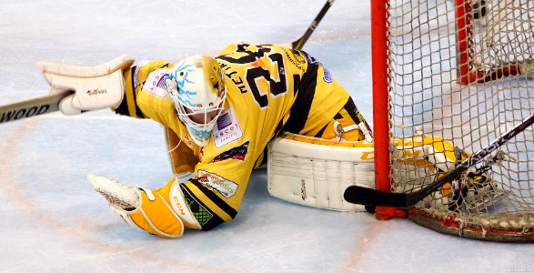 Best of 2013/14 Season: EPL and NIHL